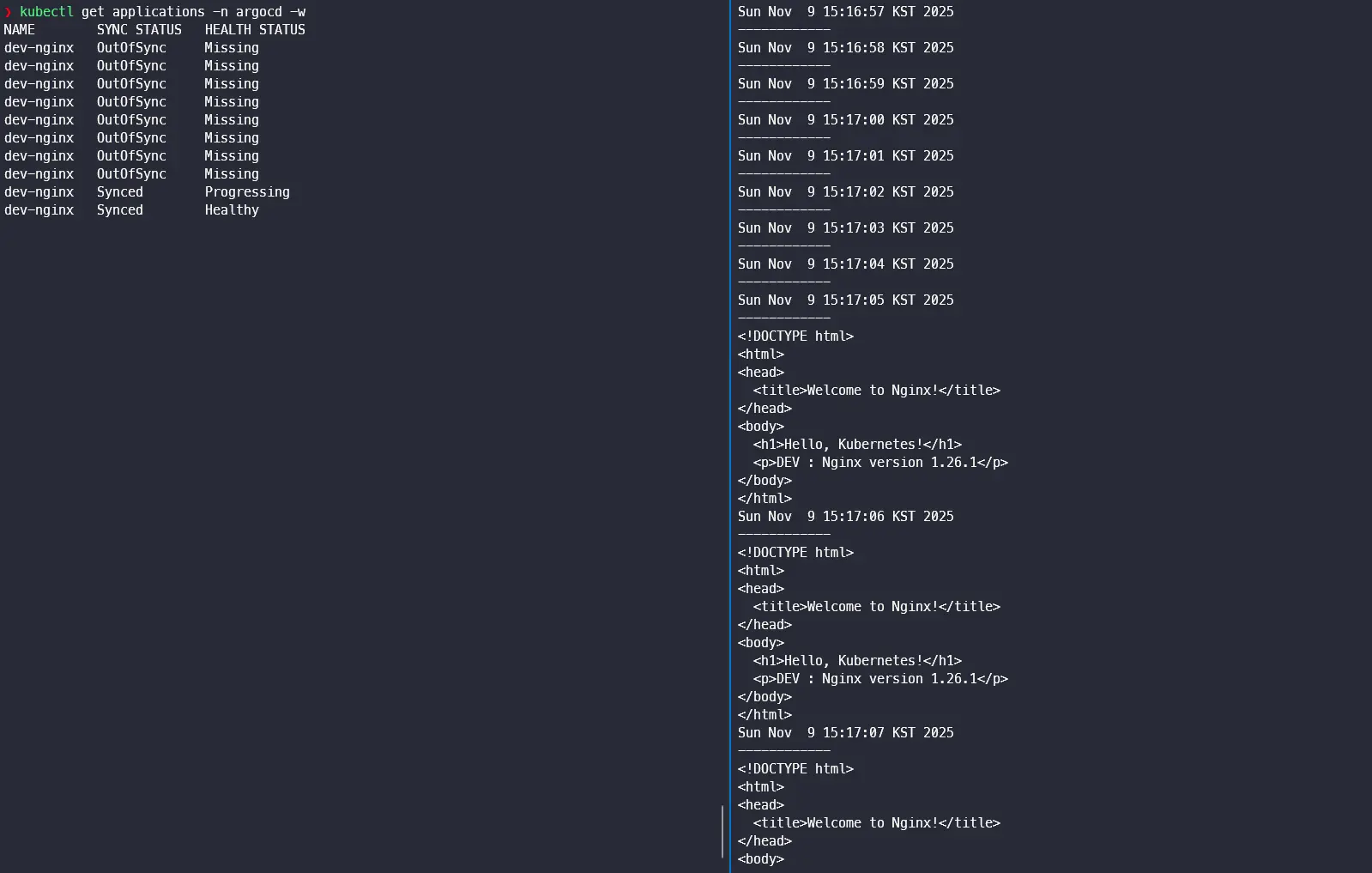 Argo CD Application Sync Result